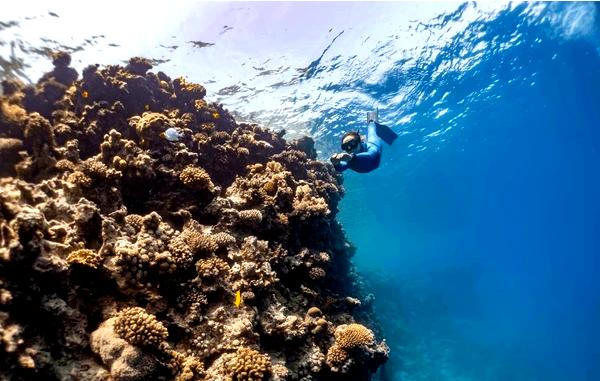 ### Снаряжение для фридайвинга в холодной воде