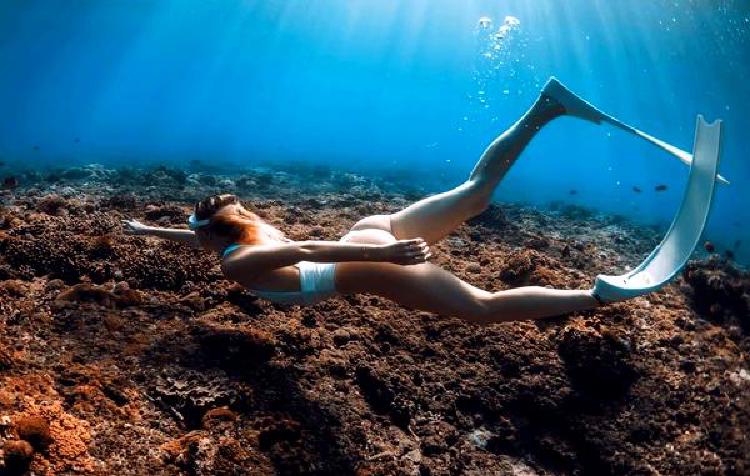 Фридайвинг со скатами Манта: Грациозные гиганты морских глубин