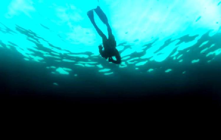 Увлекательный мир фотографии фридайвинга в холодной воде